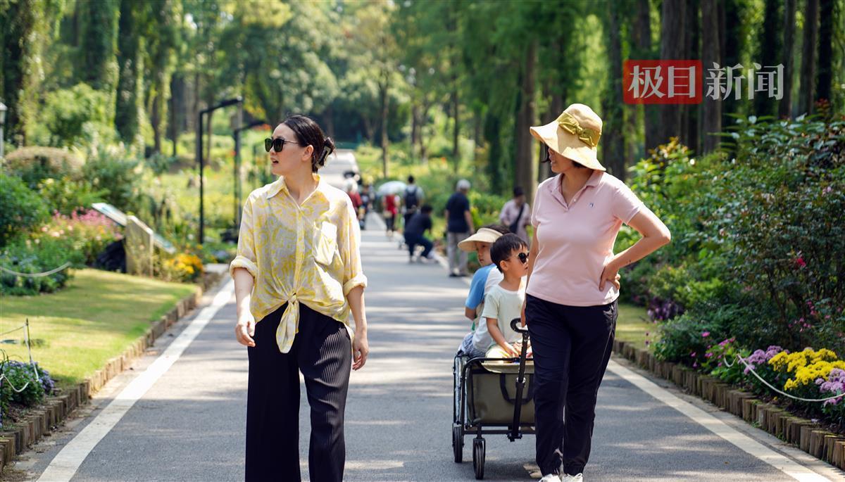 金世豪娱乐手机版官网
